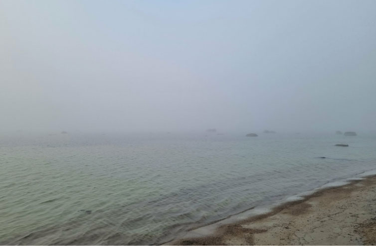 Sientes que tu mente no para